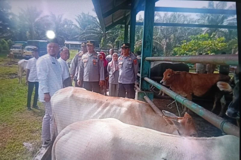 Pemkot Bengkulu Tegakkan Wajib SKKH untuk Hewan Ternak Menjelang Idul Adha 1447 H