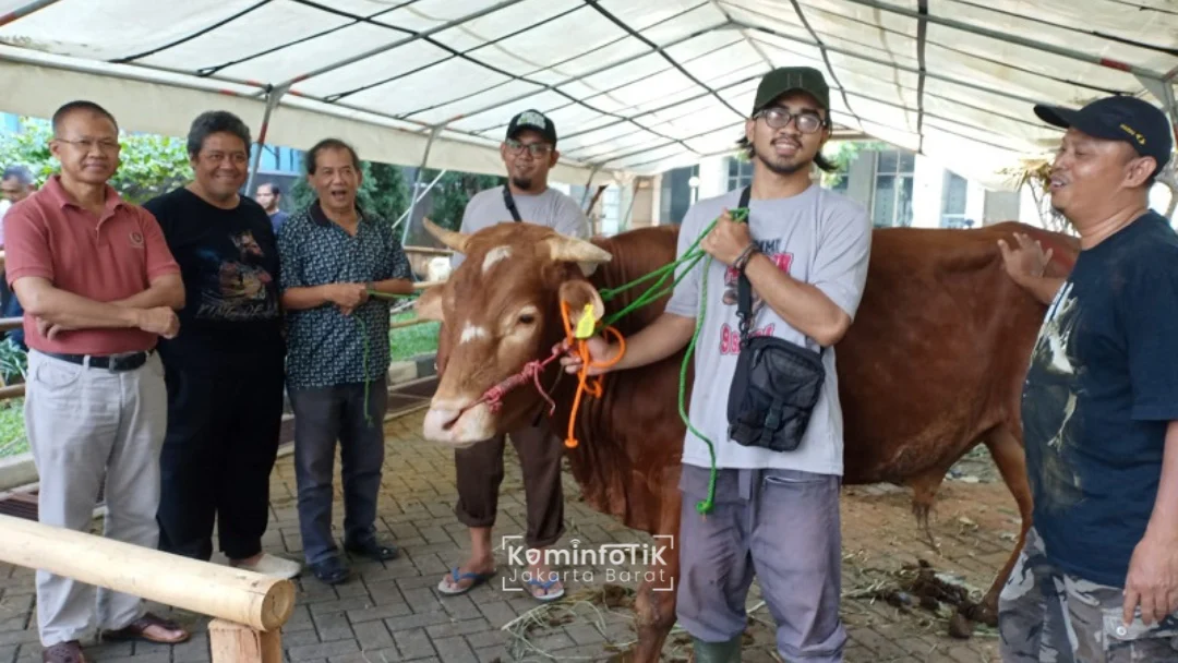 Pemkot Jakarta Barat Kumpulkan 78 Ekor Hewan Kurban untuk Disalurkan ke Masyarakat