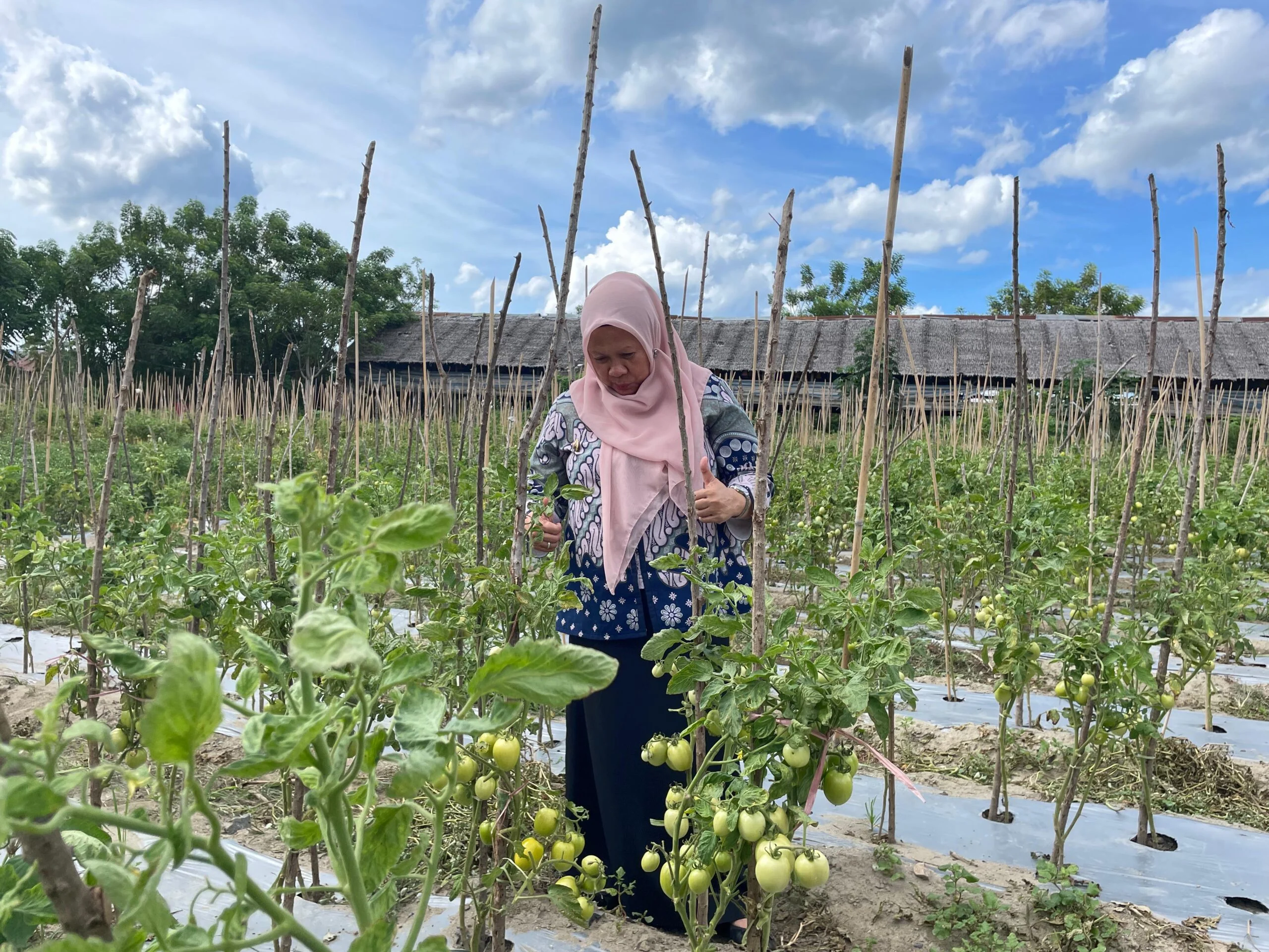 Pemkot Palu Dorong Urban Farming untuk Kemandirian Pangan Keluarga