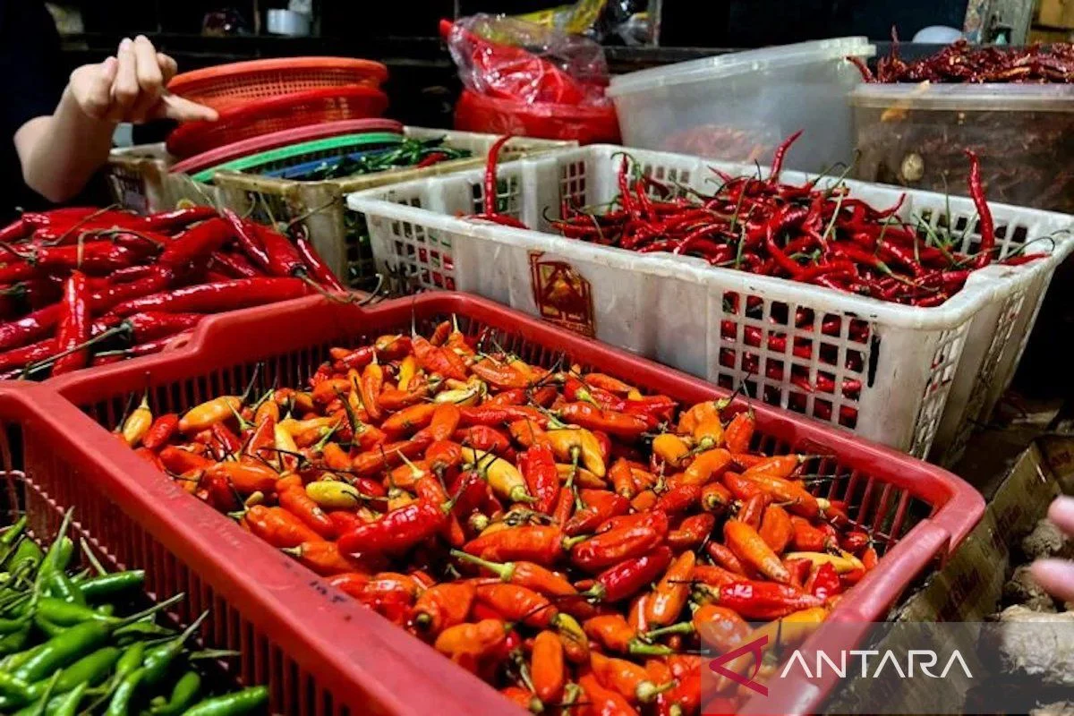 Pemprov DKI pantau fluktuasi harga pangan jelang Idul Adha