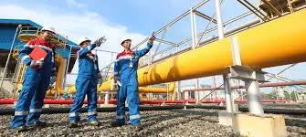 Pertamina EP Dukung Pemenuhan Kebutuhan Gas Industri Jawa Barat Lewat PJBG