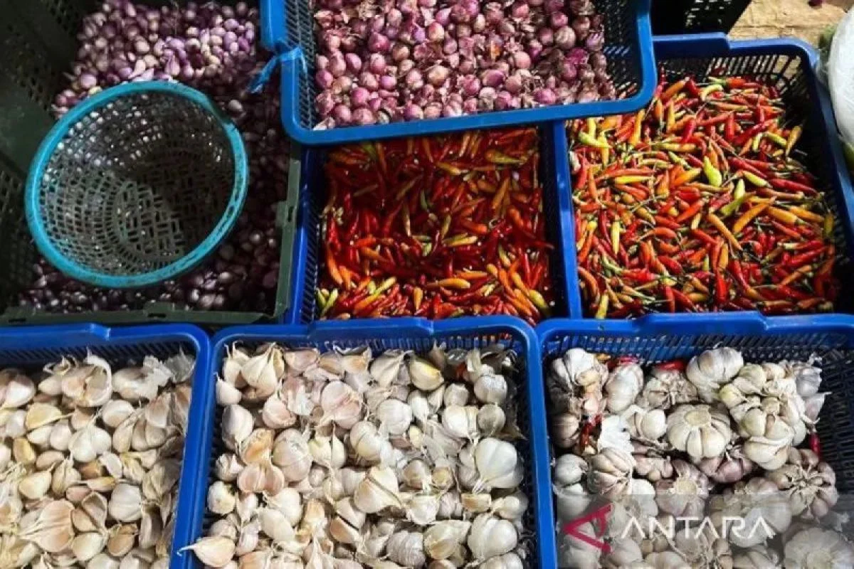 PIHPS Catat Harga Cabai Rawit Rp54.700/kg dan Telur Ayam Rp33.000/kg