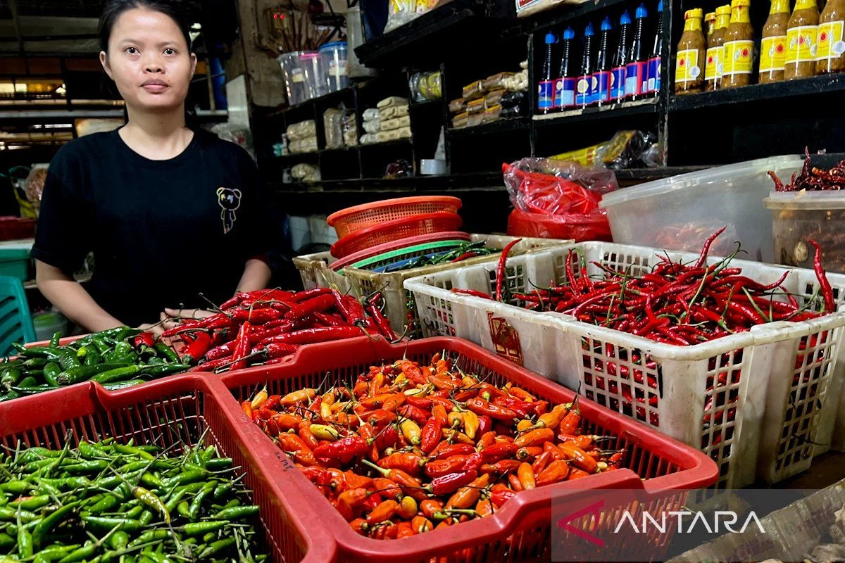 PIHPS: Harga Cabai Rawit Naik ke Rp57.650 per Kg, Telur Ayam Rp32.500 per Kg