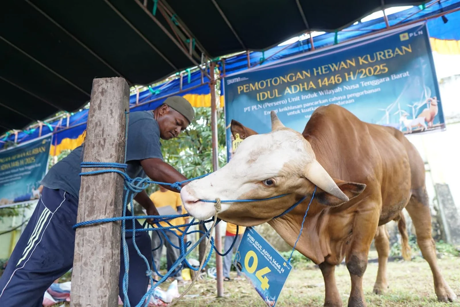 PLN EPI Salurkan Daging Kurban ke Wilayah 3T Maluku dan NTT
