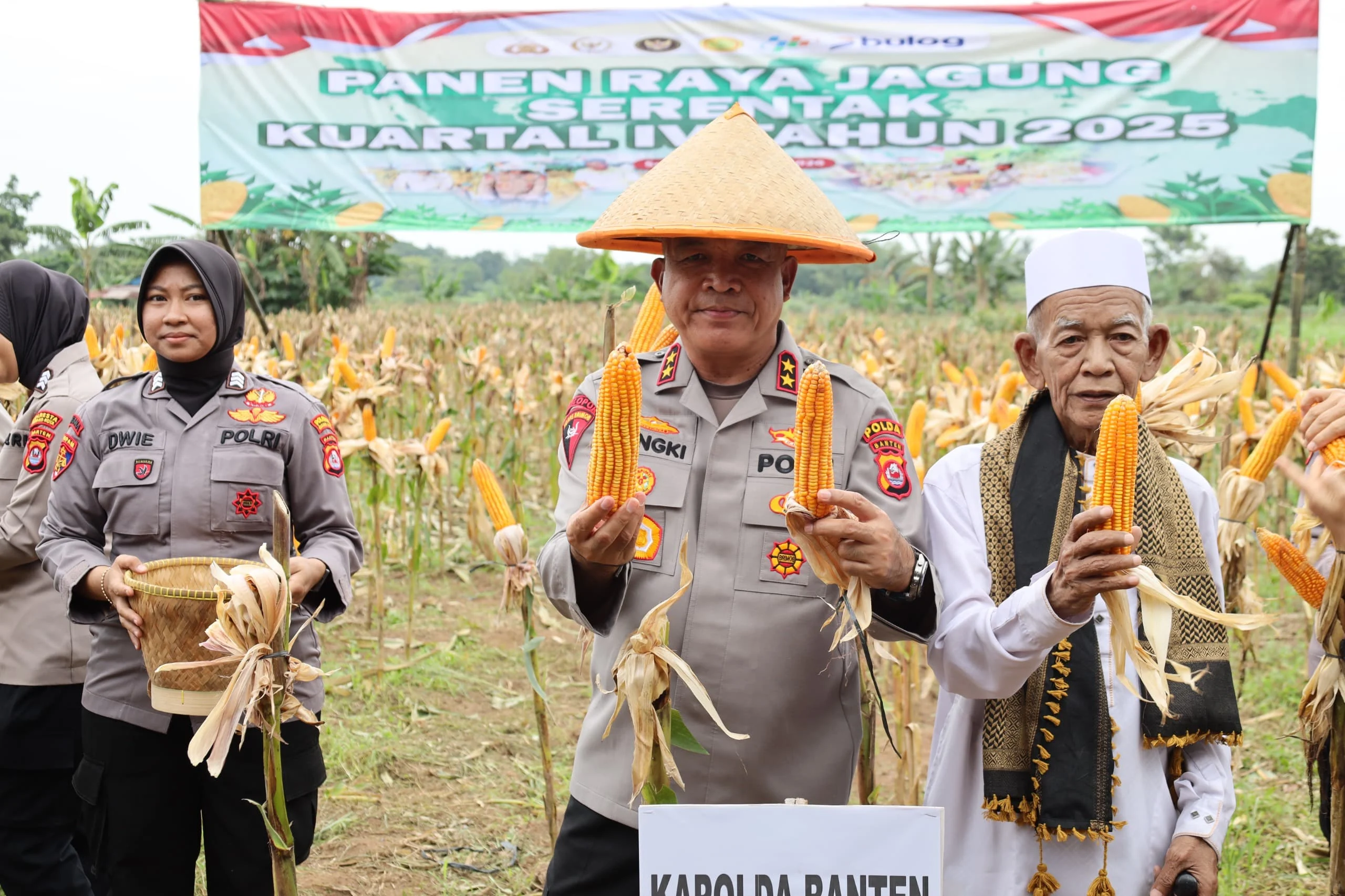 Polda Banten Gelar Panen Raya Jagung Dukung Ketahanan Pangan