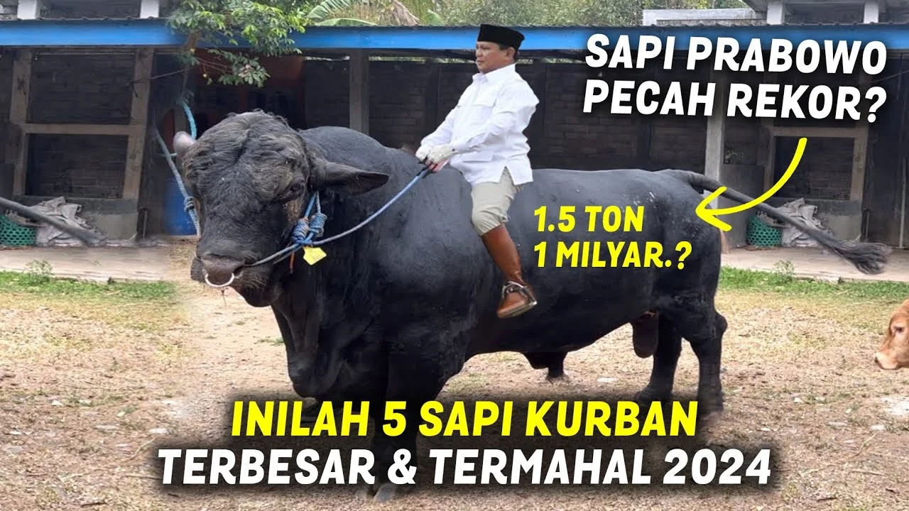 Prabowo Kurban 1.098 Sapi Pakai Dana APBN, Warga Minta Fatwa ke MUI soal Hukum Syar’inya