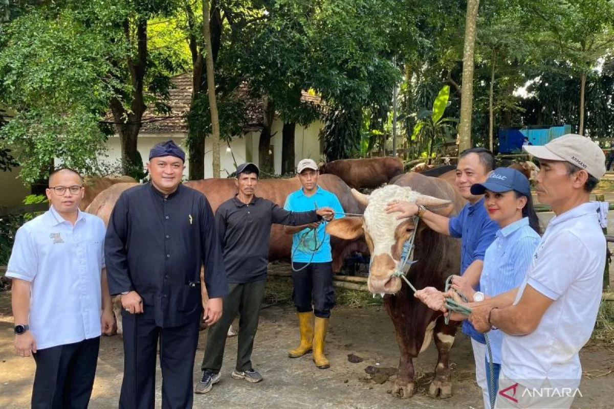 Presiden Prabowo Bagikan 109 Hewan Kurban untuk Warga di Bogor