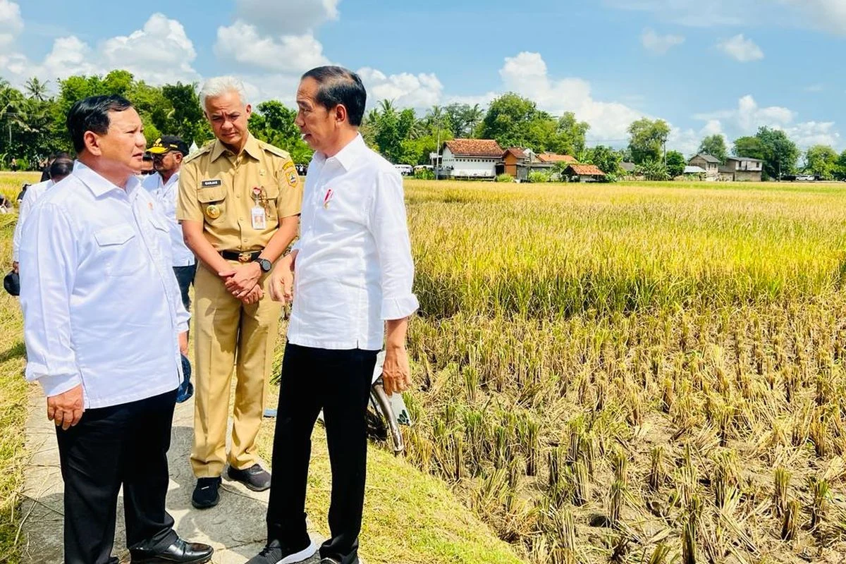 Presiden Prabowo Subianto Pimpin Panen Raya Udang di Kebumen