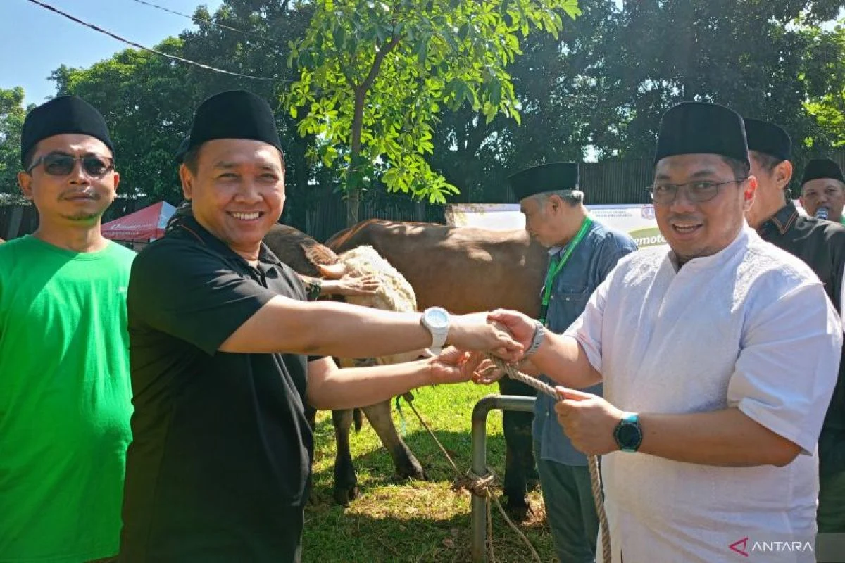 PWNU DKI Gandeng Dharma Jaya Sembelih Kurban agar Modern dan Higienis
