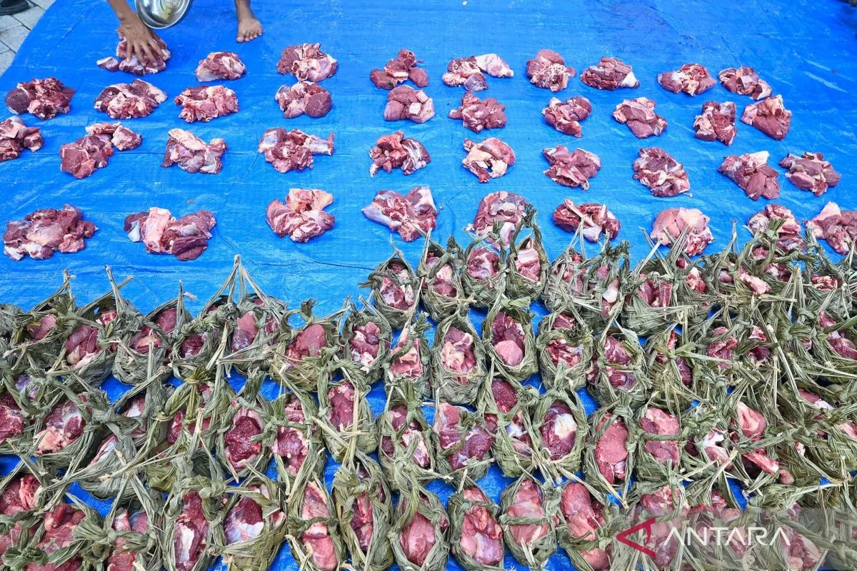 Ramah lingkungan, warga di Palu menggunakan Kamboti sebagai wadah daging kurban