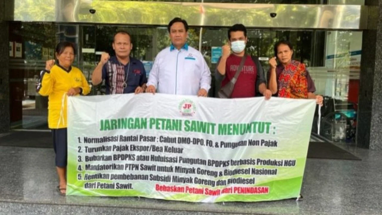 Respons Anjloknya Harga Sawit, Pemerintah Pastikan Petani dan Pelaku Usaha Terlindungi