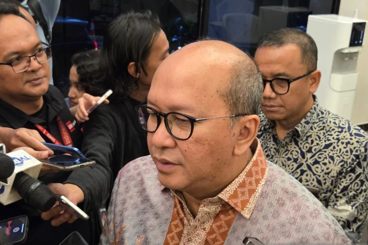 Rosan Sebut DSI Berkantor di Danantara, Diresmikan Pekan Depan
