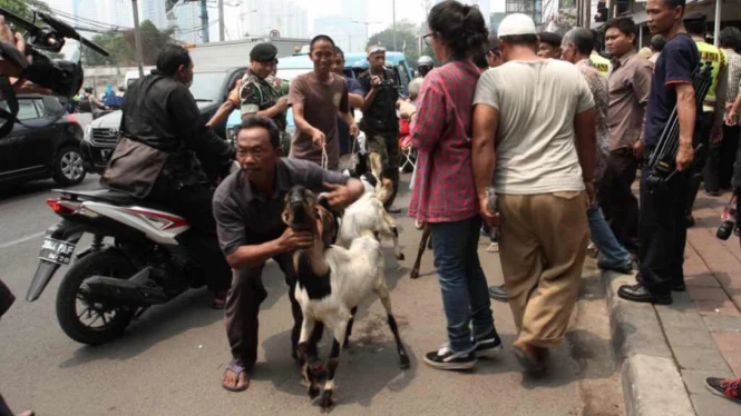 Satpol PP DKI Jakarta Tegaskan Larangan Penjualan Hewan Kurban di Trotoar
