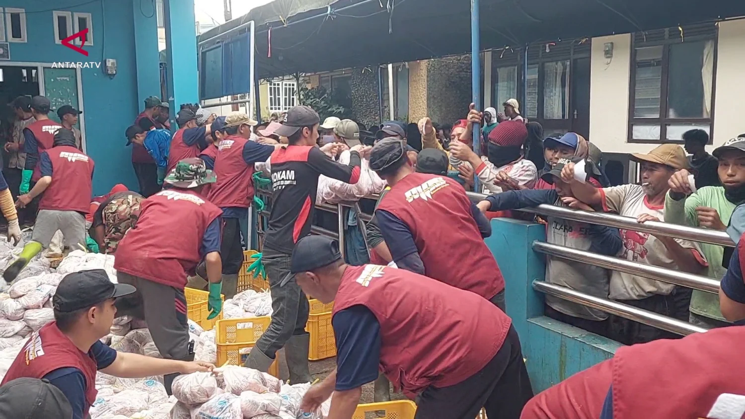 Semangat berkurban warga Batur terus mengalir, tembus ratusan kurban