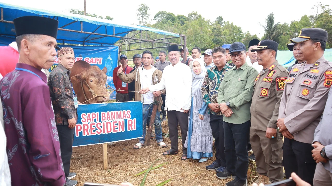 Sumsel Terima 18 Sapi Kurban dari Bantuan Presiden Prabowo Subianto