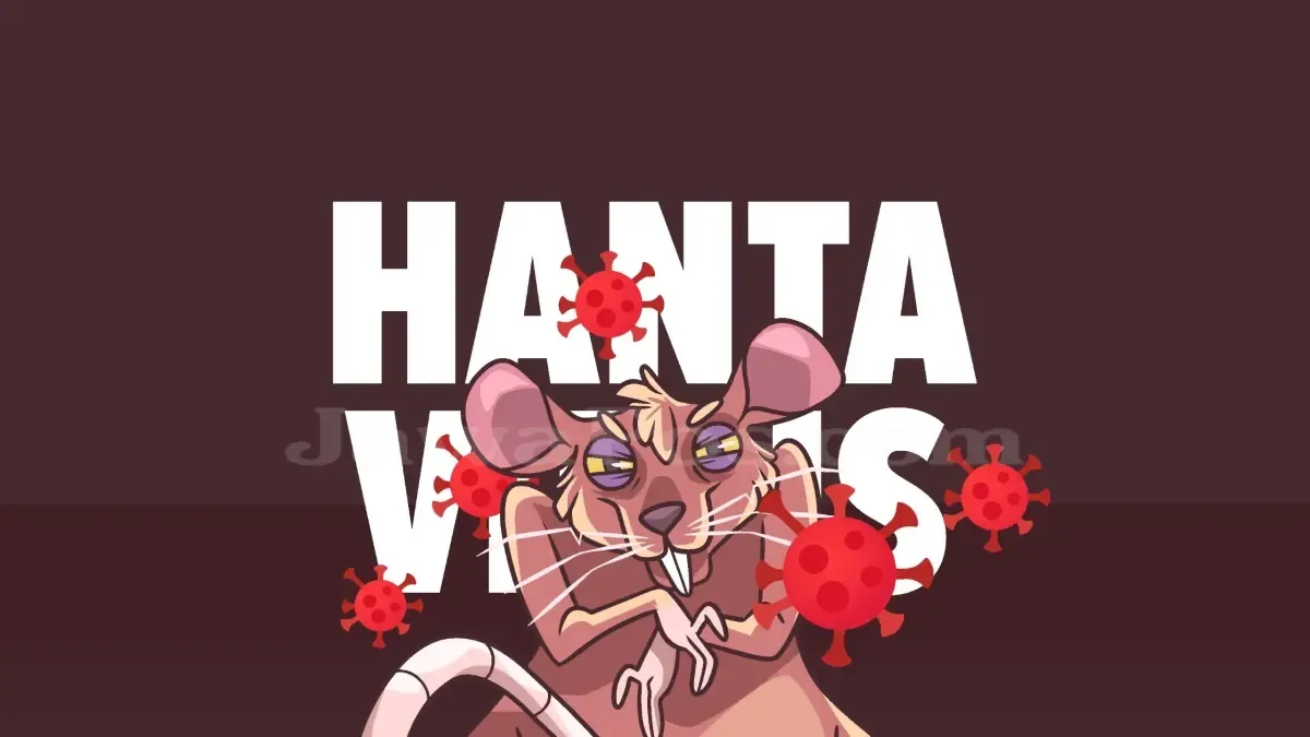 Taipei Laporkan Satu Kasus Kematian Akibat Hantavirus