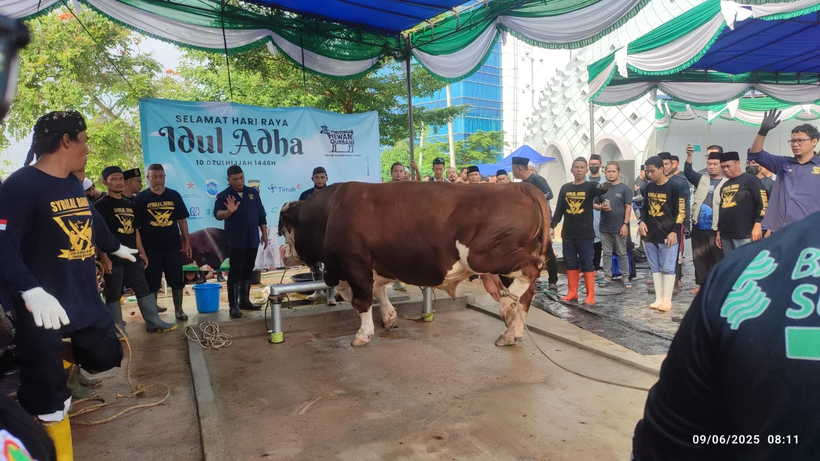 Tak Tahu Menahu Soal APBN Rp 100 M Dipakai untuk Sapi Kurban Prabowo, Menkeu Purbaya: Rasanya Pakai Duit Sendiri