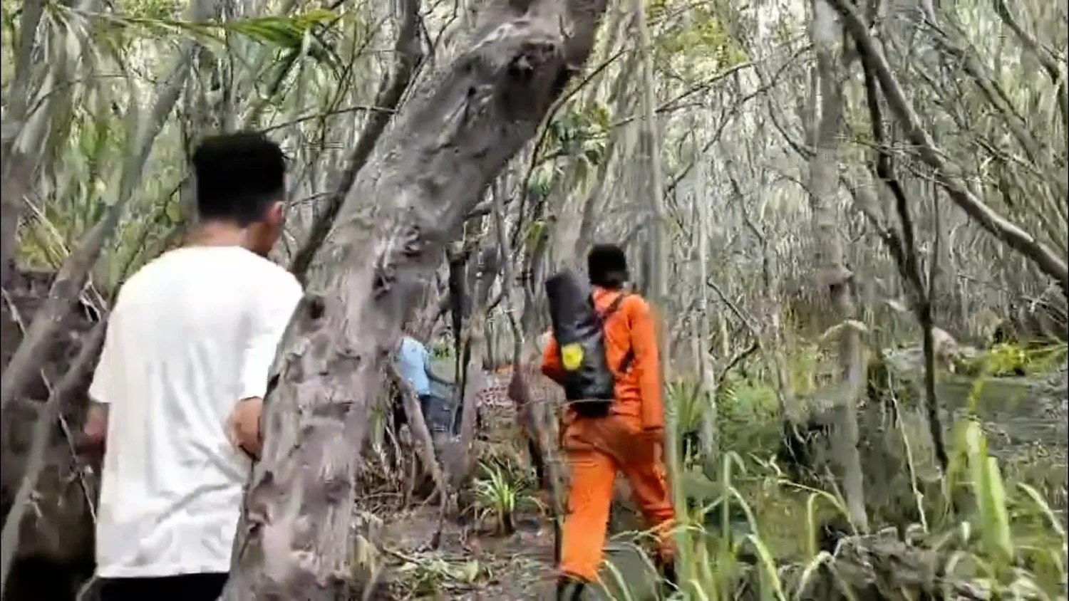 Tim SAR Masih Cari Tiga Pendaki Gunung Dukono