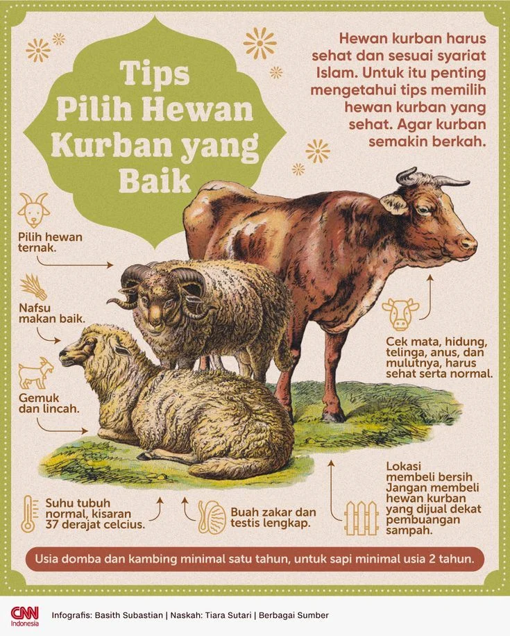 Tips Memilih Hewan Kurban Sehat dan Sesuai Syariat Islam