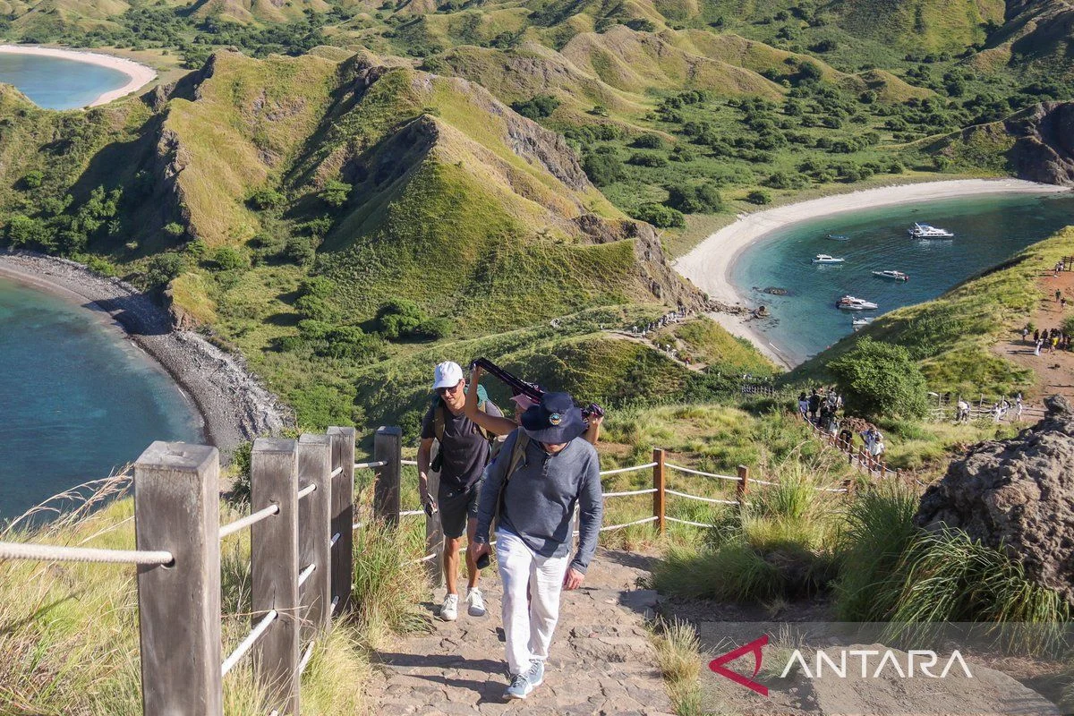 Upaya Kemenpar Jaga Kelestarian Komodo Secara Berkelanjutan