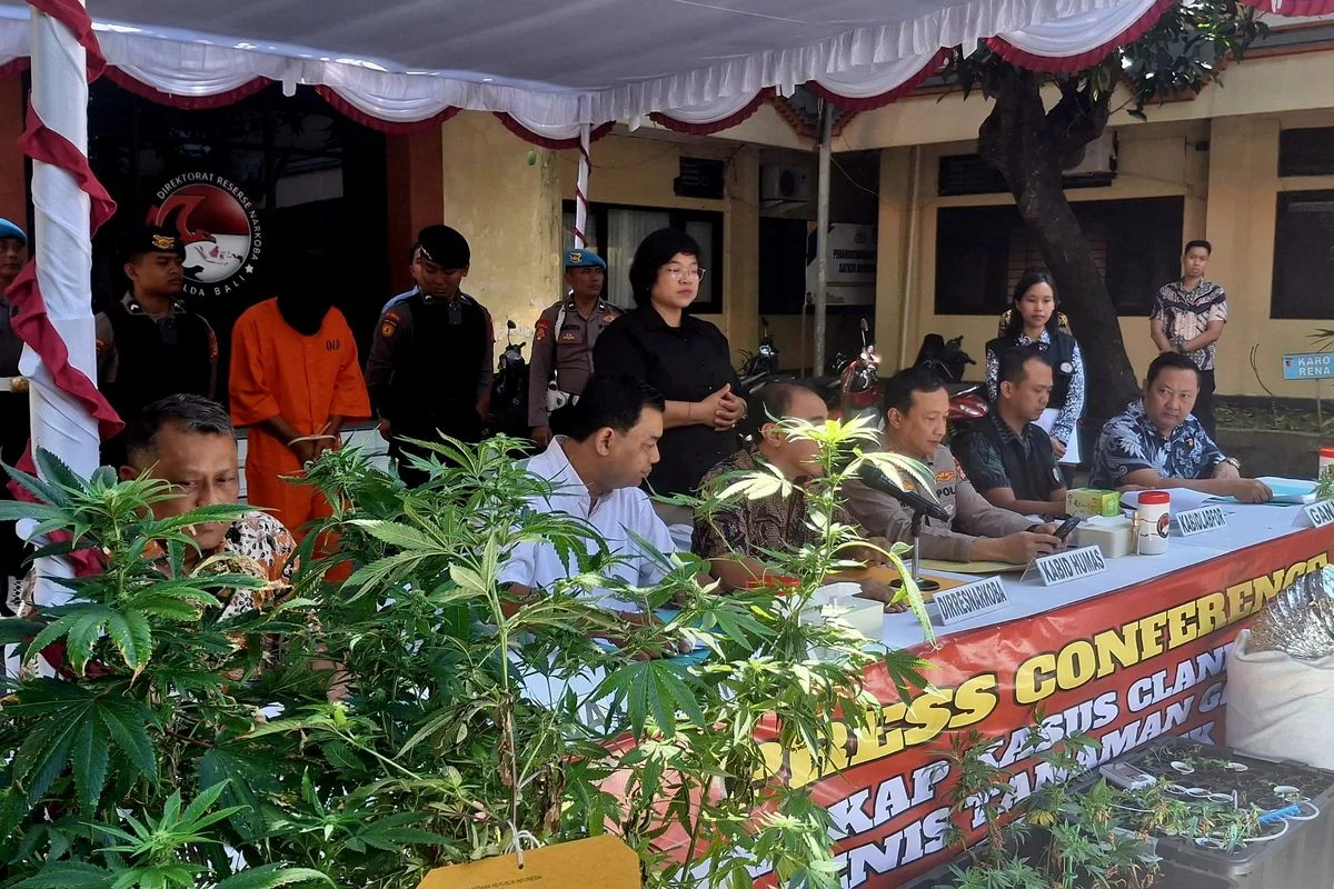 Warga Negara Belanda Dijatuhi Hukuman 9 Tahun Penjara karena Budidaya Ganja Hidroponik