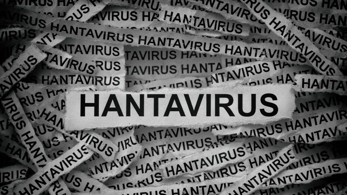 Waspadai Penyebaran Hantavirus, DPR Minta Pemerintah Perketat Pintu Masuk Negara