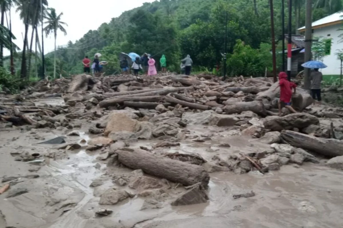 285 Jiwa di Parigi Moutong Terdampak Gempa, BPBD Catat Dampaknya