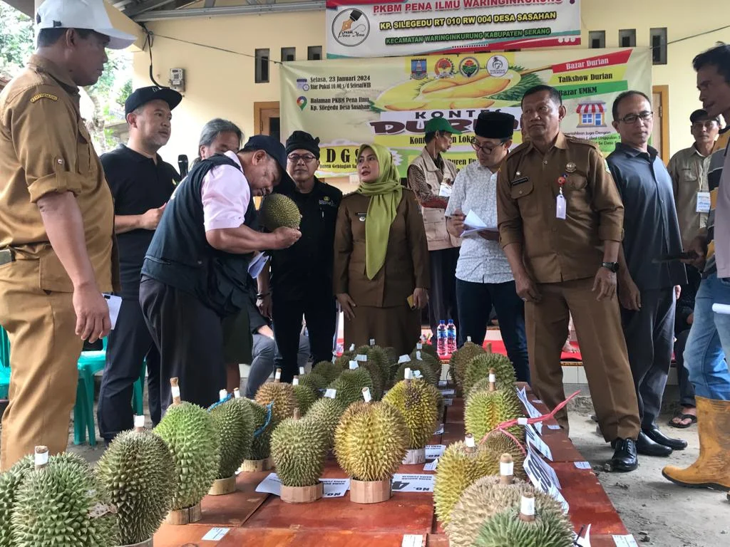 Babel Gelar Kontes Durian Lokal, Target Angkat ke Tingkat Nasional