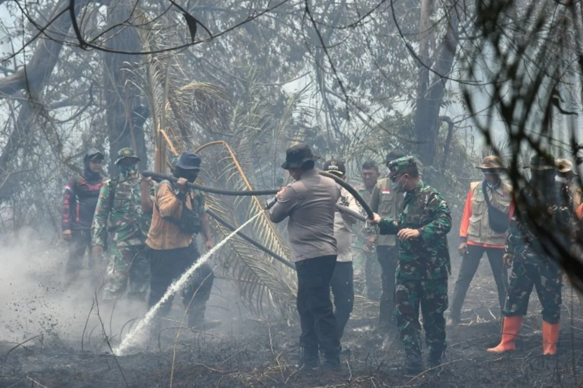 BNPB: 5,3 Hektare Lahan di Banjar Terbakar, Tim Gabungan Masih Berjibaku Padamkan Api