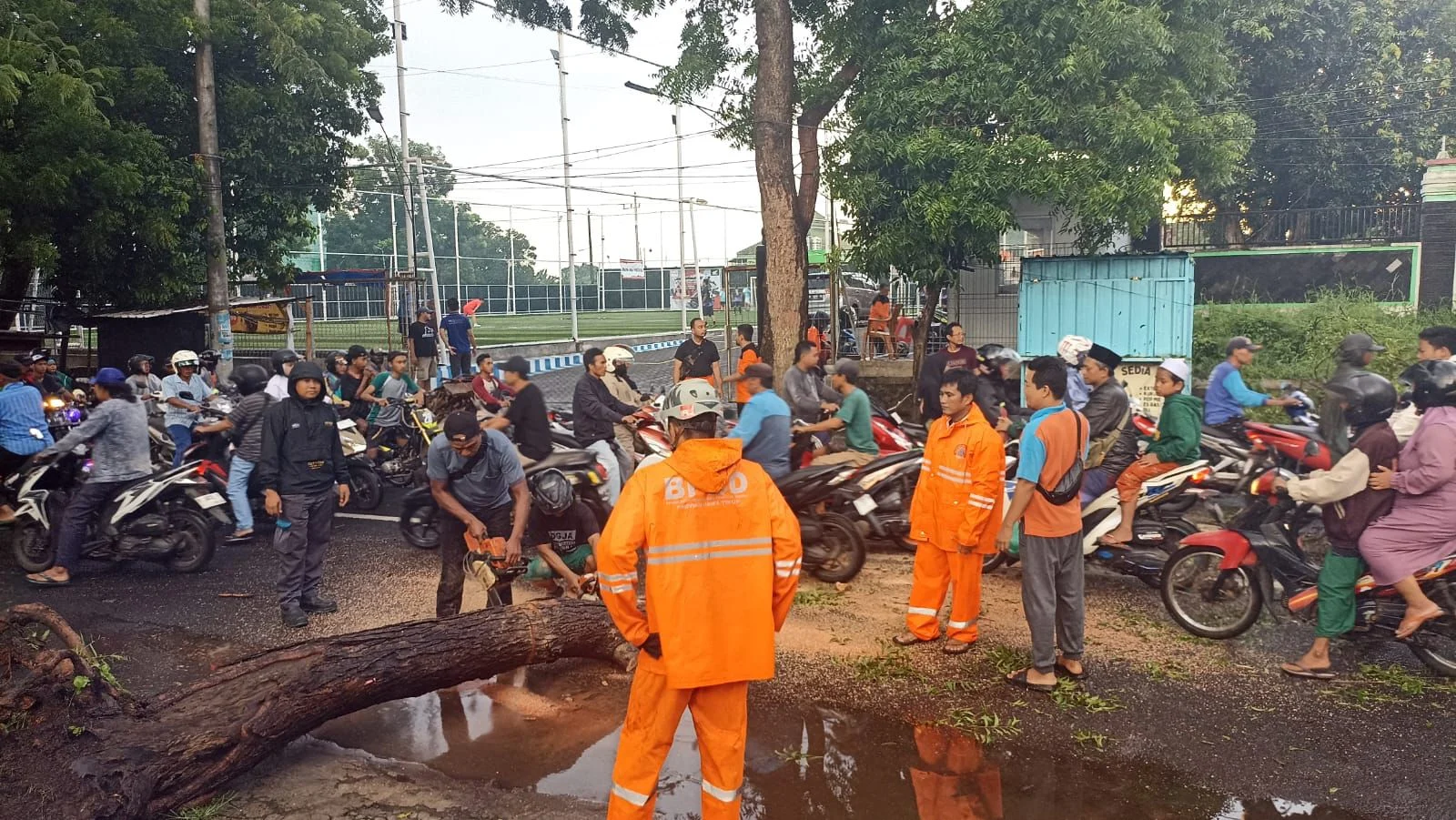 BNPB: Cuaca Ekstrem di Pulau Morotai Menyebabkan Satu Warga Meninggal
