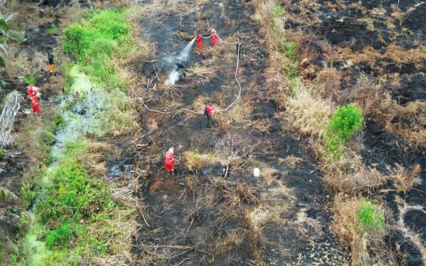 BNPB Petakan Karhutla di Sejumlah Wilayah, Sumatera dan Kalimantan Mendominasi
