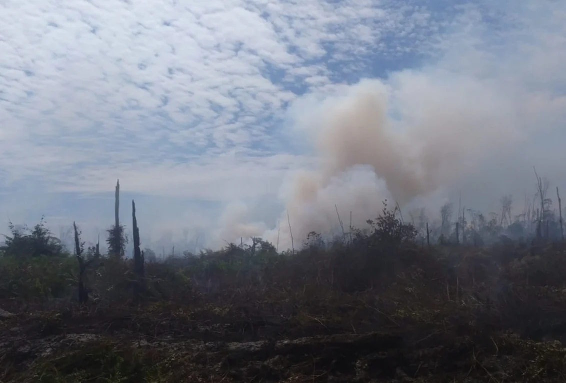 BPBD: Karhutla di Aceh Barat Berhasil Dipadamkan