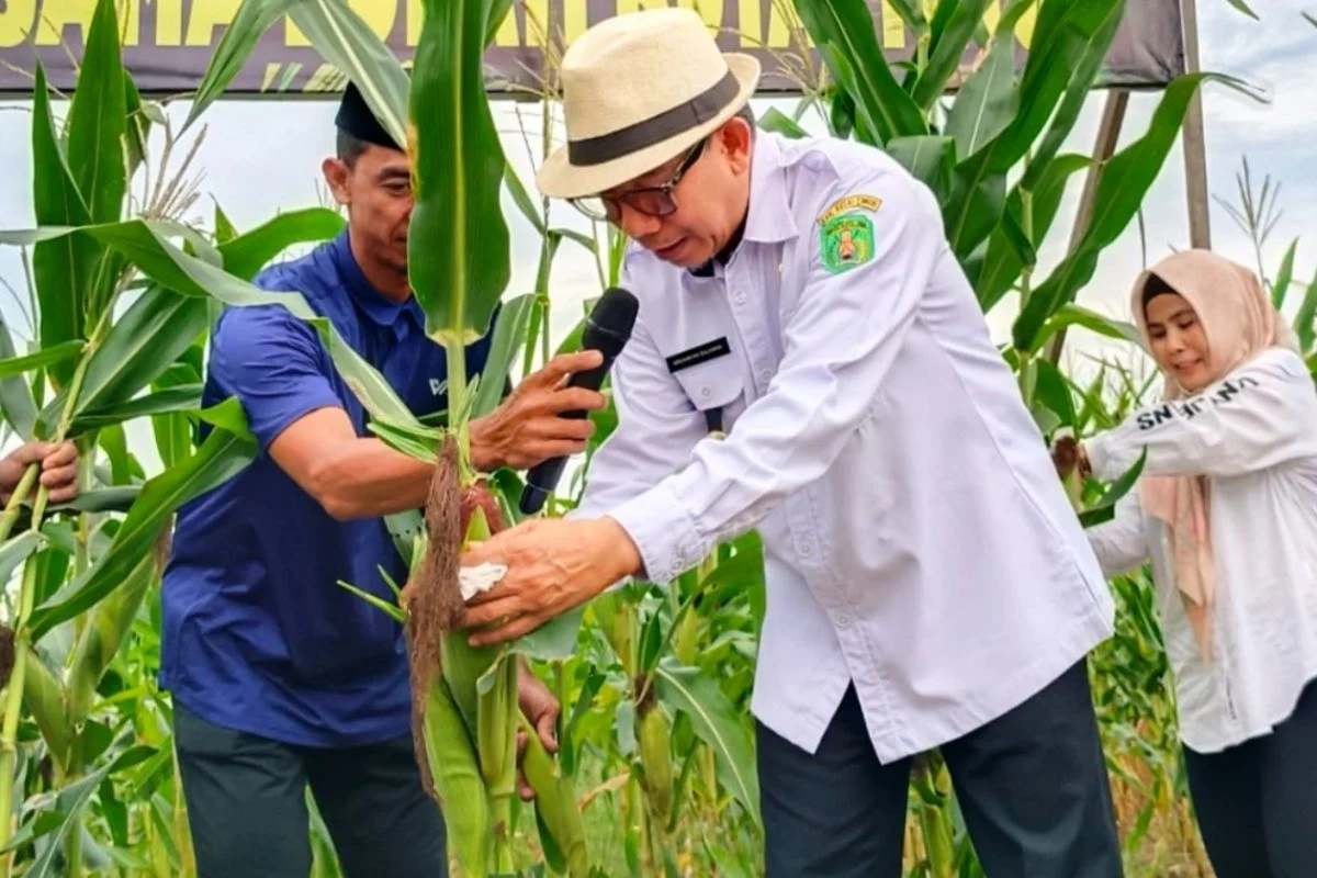 Bupati Kutai Timur Dorong Transformasi Ekonomi Melalui Pertanian