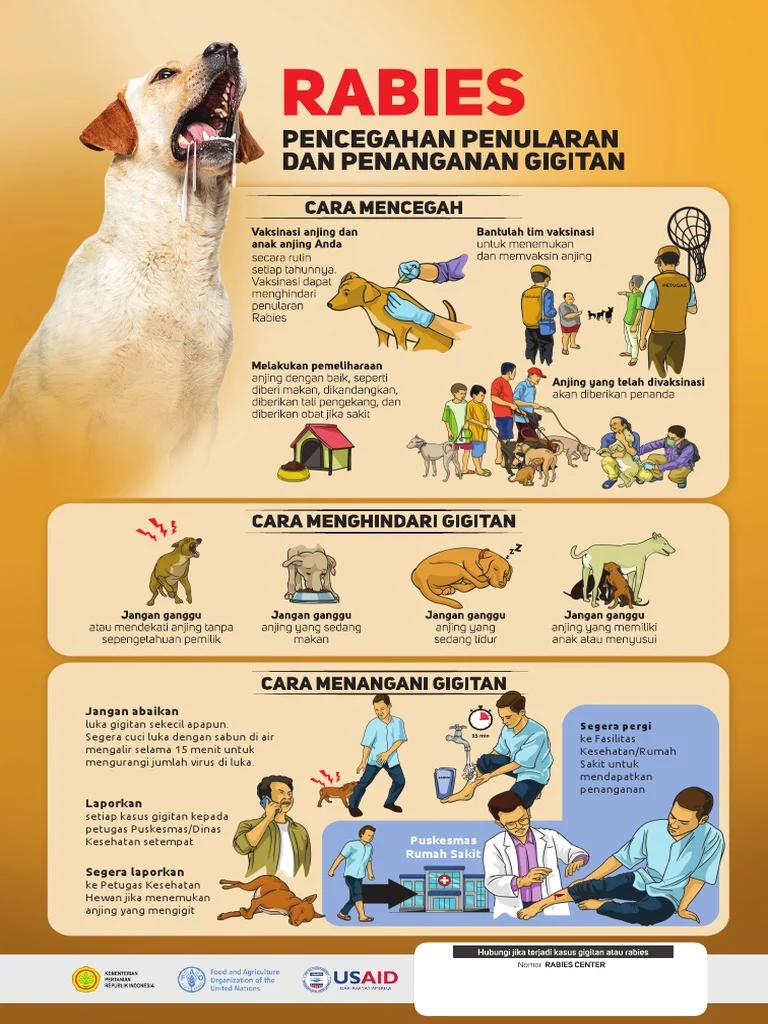 Cara Jitu Cegah Penularan Rabies di Indonesia