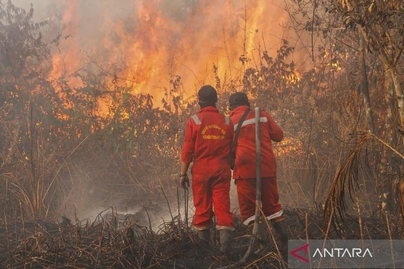 Data BNPB: Kebakaran Hutan dan Lahan di Dua Provinsi Membakar 8,3 Hektare