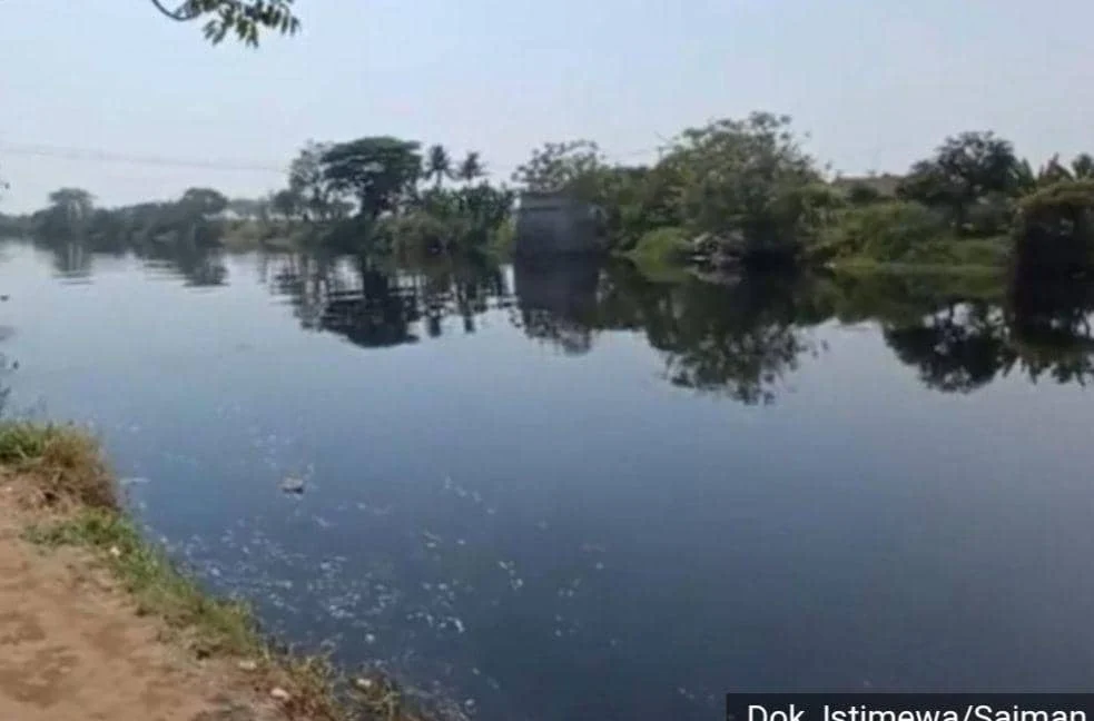 DLHK Banten Gelar Investigasi atas Pencemaran Sungai Ciujung