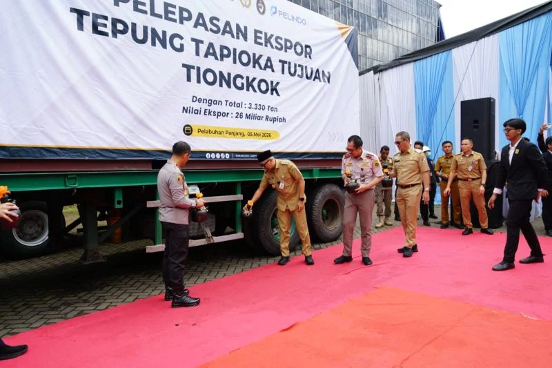 Ekspor Lampung Meningkat, Tepung Tapioka hingga Nanas jadi Komoditas Andalan