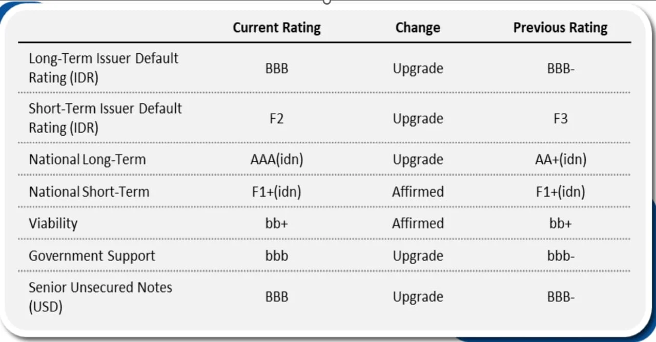 Fitch Ratings Tunjuk Danantara Investment Management dengan Peringkat Kredit BBB