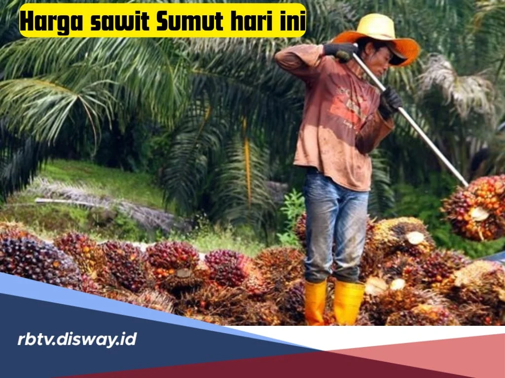 GAPKI Soroti Indonesia Belum Ada Acuan Harga Sawit yang Seragam