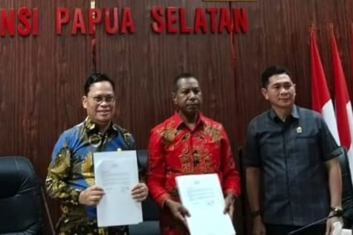 Gubernur Papua Selatan: PSN Percepat Pembangunan Daerah
