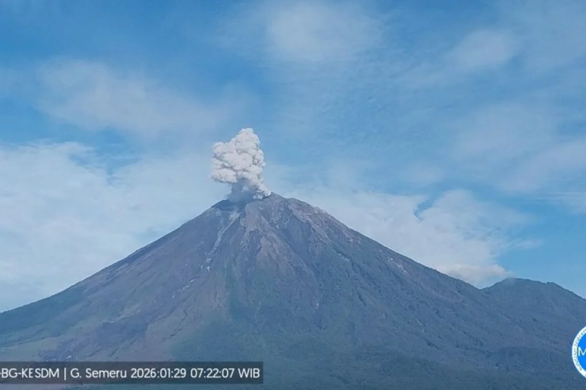 Gunung Semeru Erupsi Tujuh Kali pada Kamis Pagi, Tinggi Letusan Capai 700 Meter