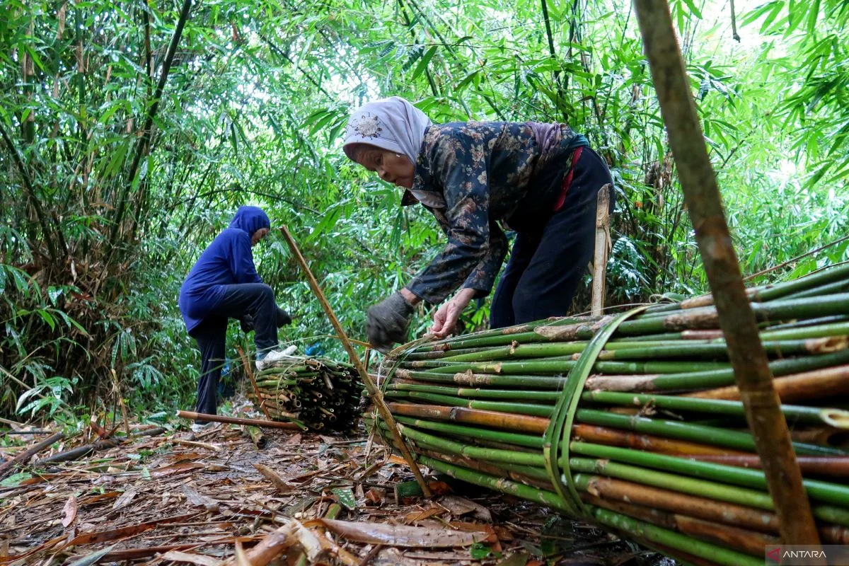 Kembangkan Agroforestri, MANU Perkuat Hilirisasi Hasil Hutan di Jawa Timur