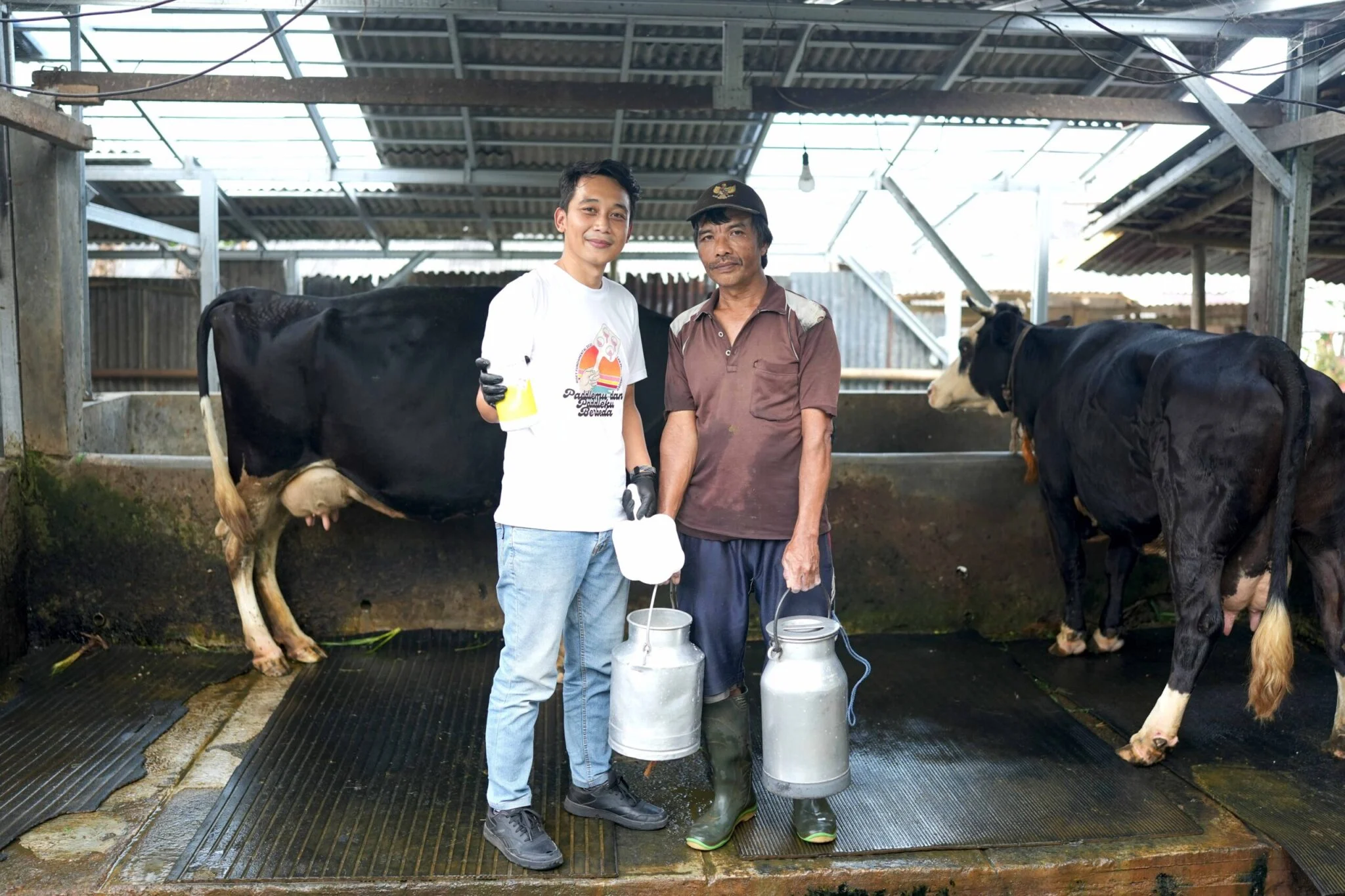 Kemitraan AS-Indonesia Tingkatkan Produksi Susu Harian Peternak 32,5 Persen