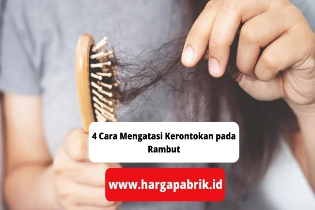 Kerontokan Rambut: Risiko Besar Jika Penanganan Ditunda