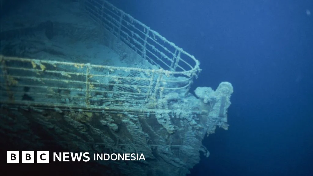 Kuburan Paus Terbesar dan Terdalam di Dunia Terungkap: Misteri Lebih Dalam dari Luar Angkasa