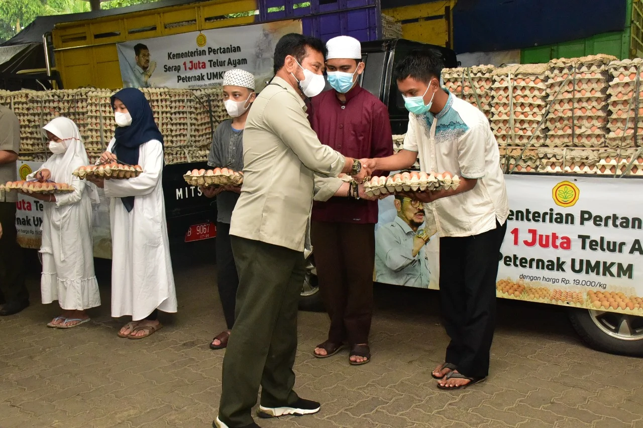 Legislator Dukung Mentan Stabilkan Harga Telur Ayam Tingkat Peternak