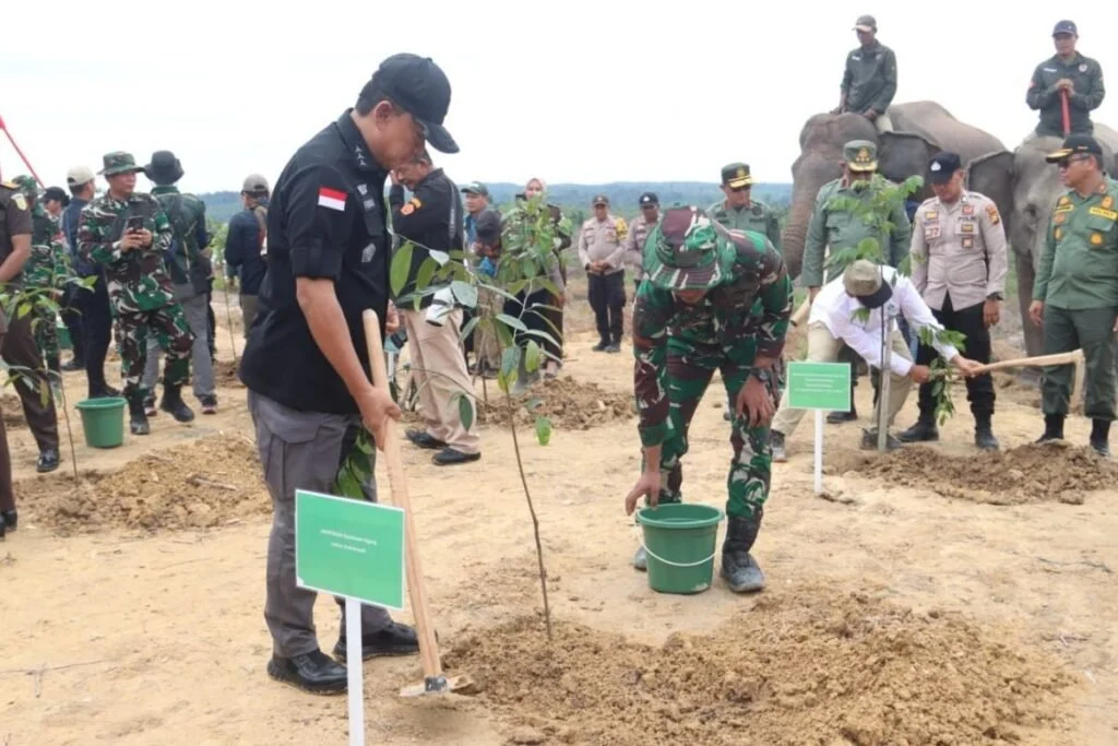 Masih Terus Bekerja, Satgas PKH Sudah Kuasai 5,9 Juta Hektare Lahan dan Pulihkan Aset Negara Rp 379,2 Triliun