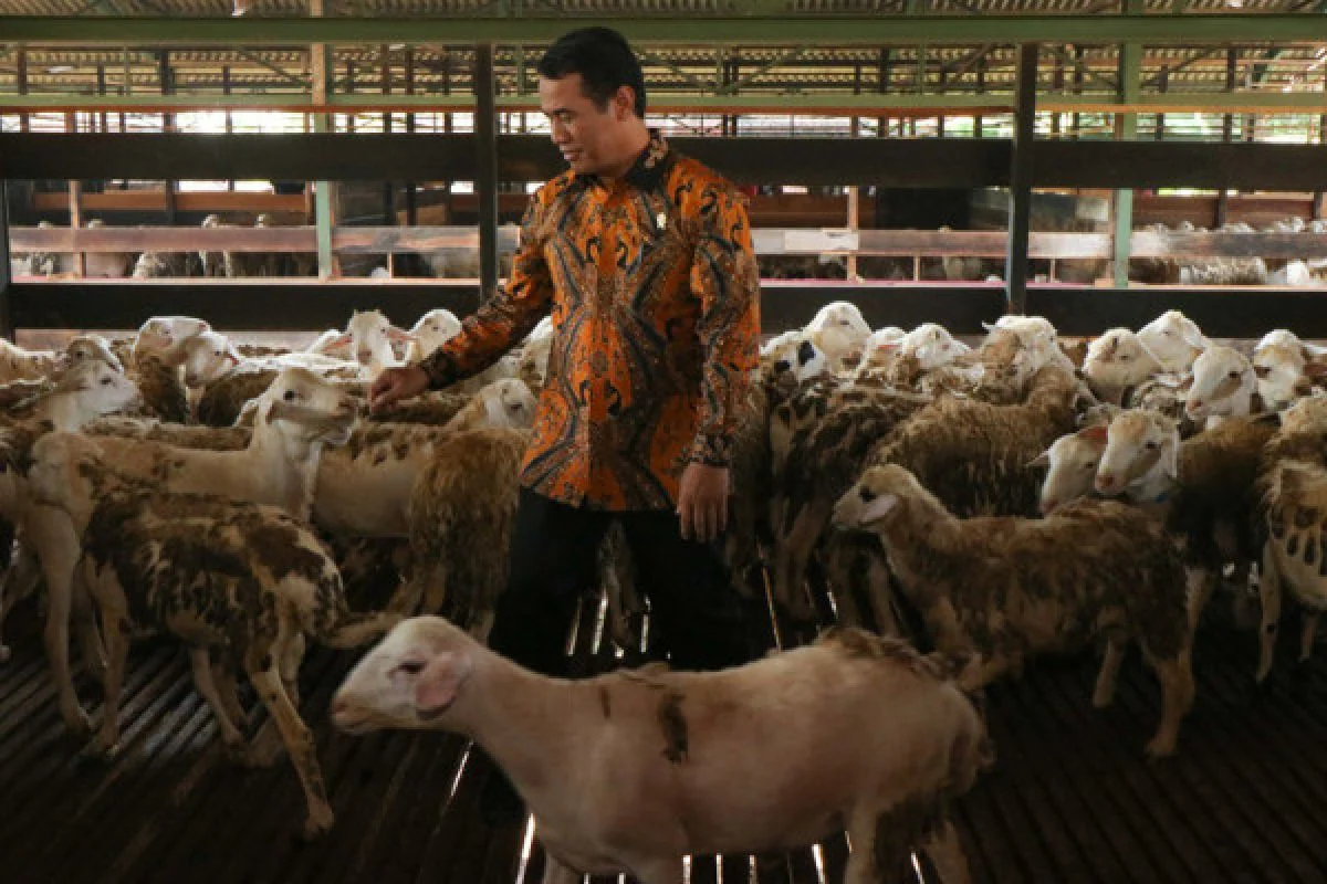 Menteri Pertanian: Konflik AS-Iran Dorong Peningkatan Ekspor Sektor Pertanian Indonesia