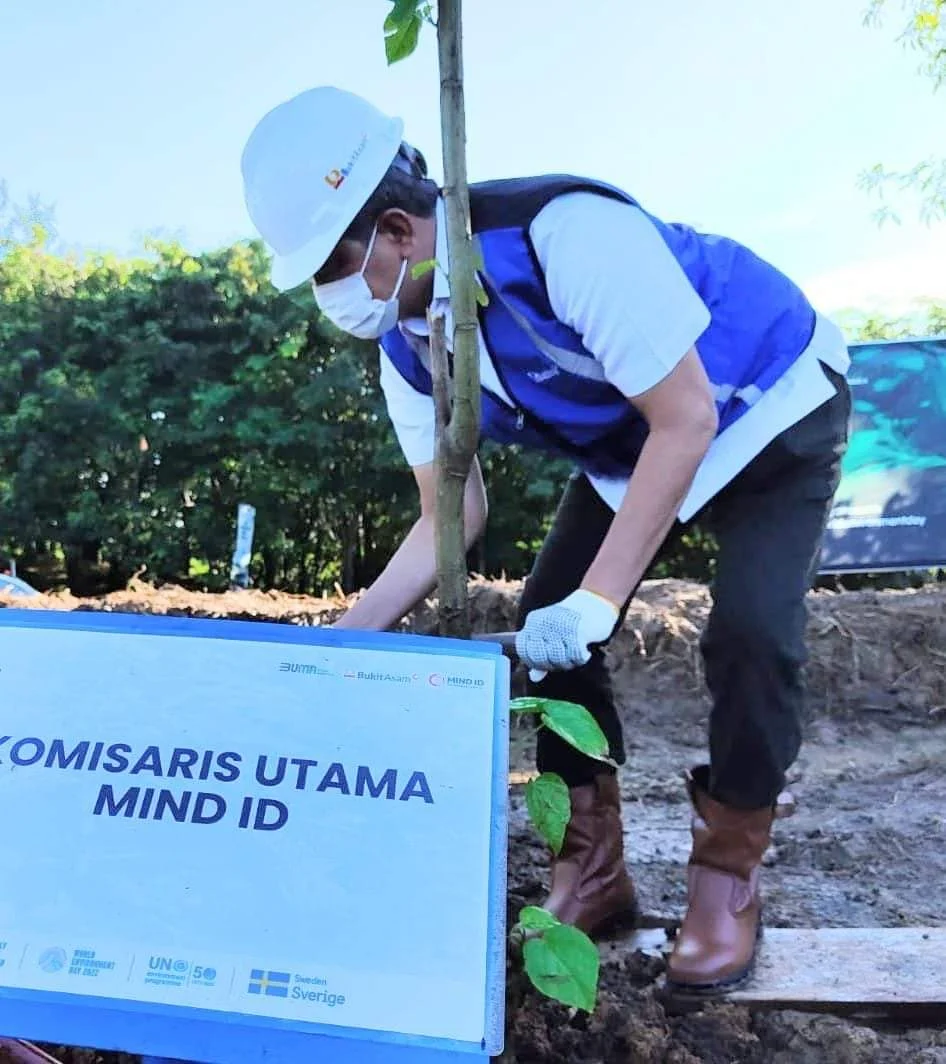 MIND ID mereklamasi 8.000 ha lahan bekas tambang dan 37.700 ha DAS
