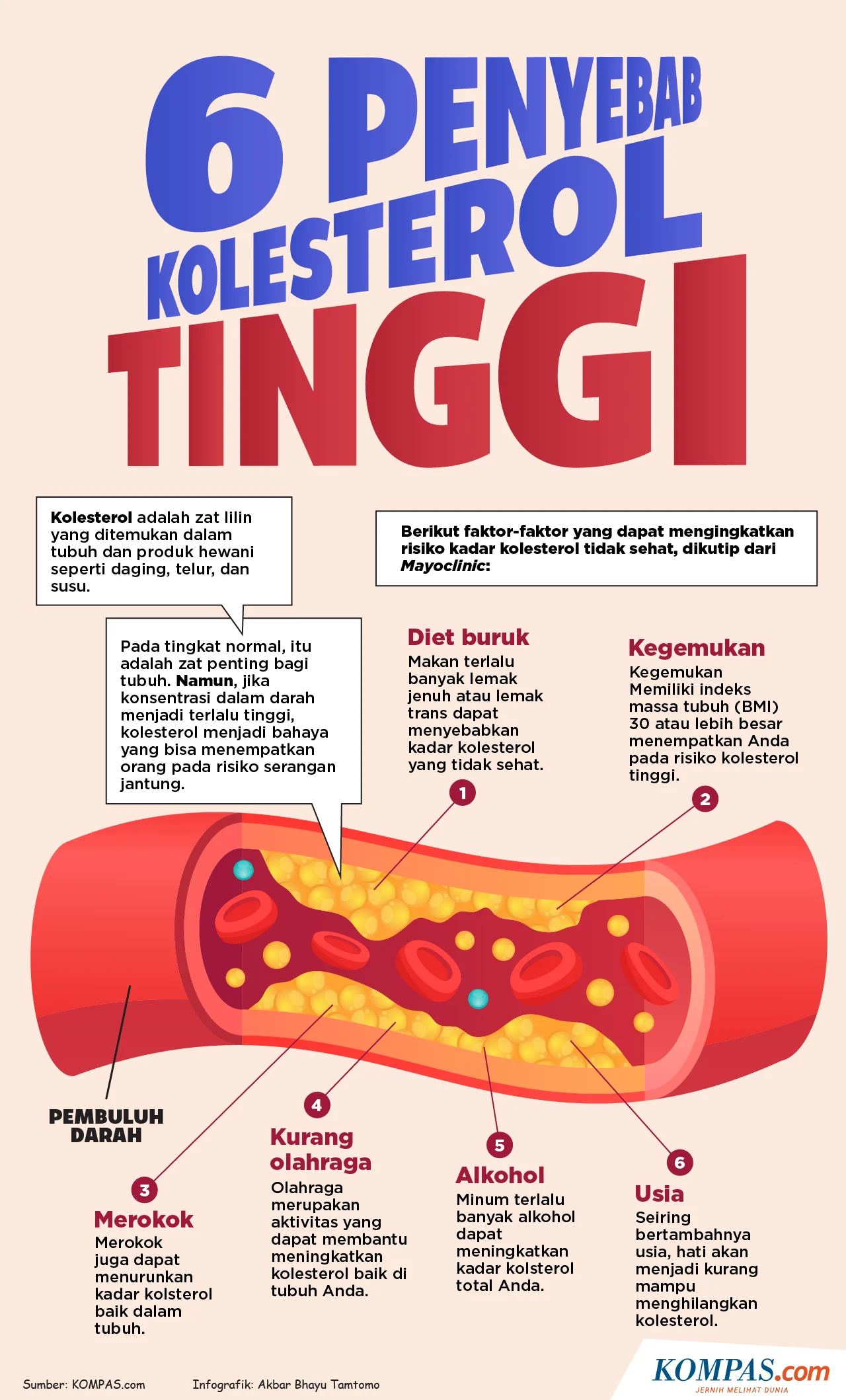 Mitos atau Fakta: Golongan Darah O dan Risiko Kolesterol Tinggi Menurut Pakar IPB